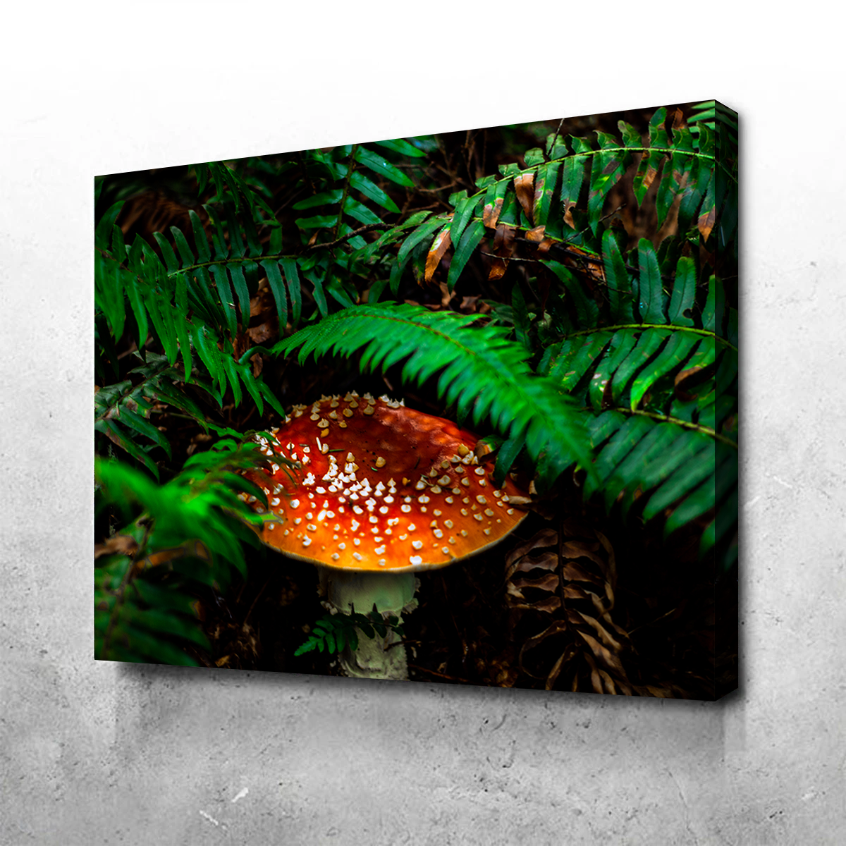 Mushroom and Ferns Wall Art
