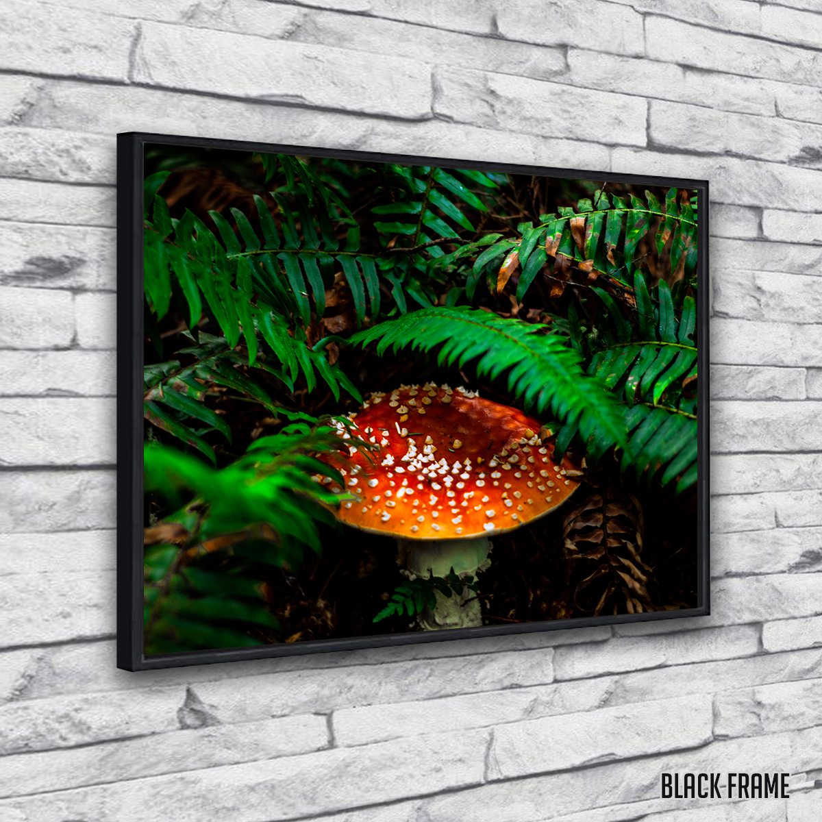 Mushroom and Ferns Wall Art