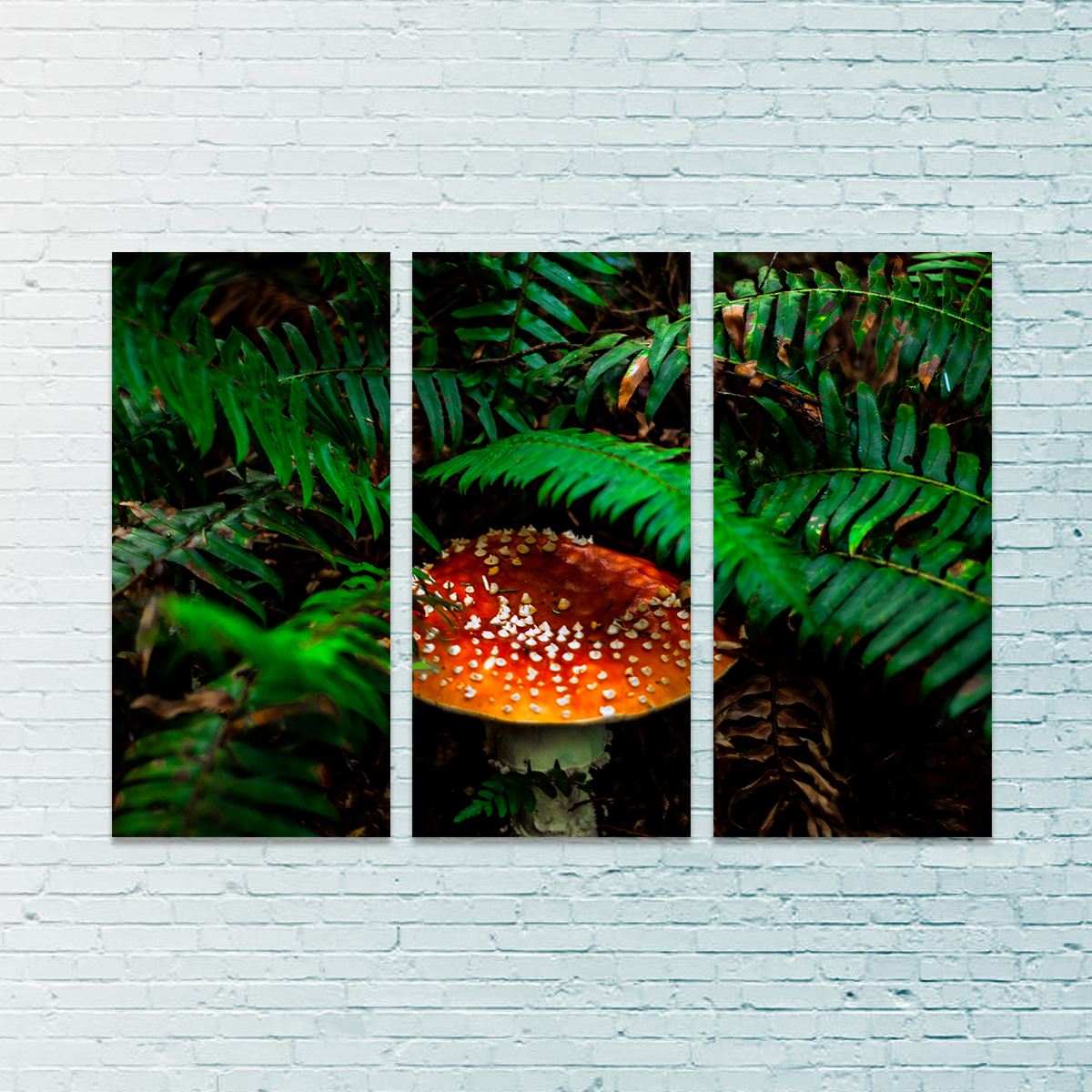 Mushroom and Ferns Wall Art