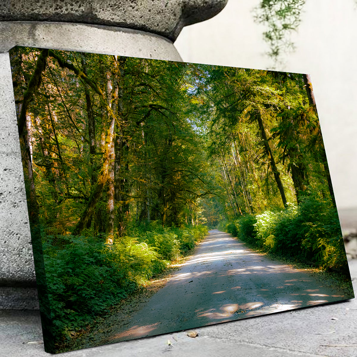 Rainforest Road Wall Art