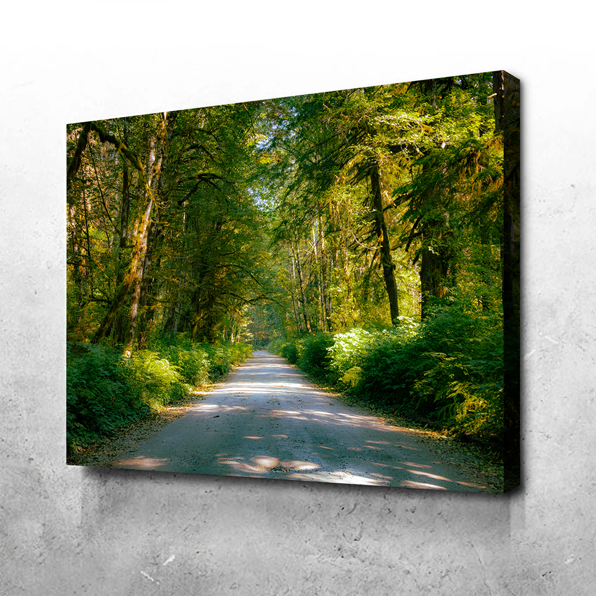 Rainforest Road Wall Art
