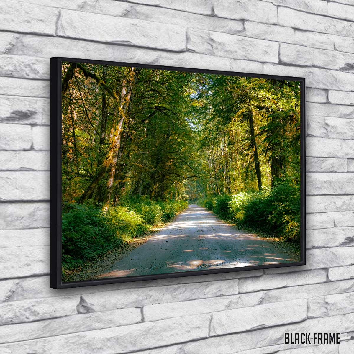 Rainforest Road Wall Art