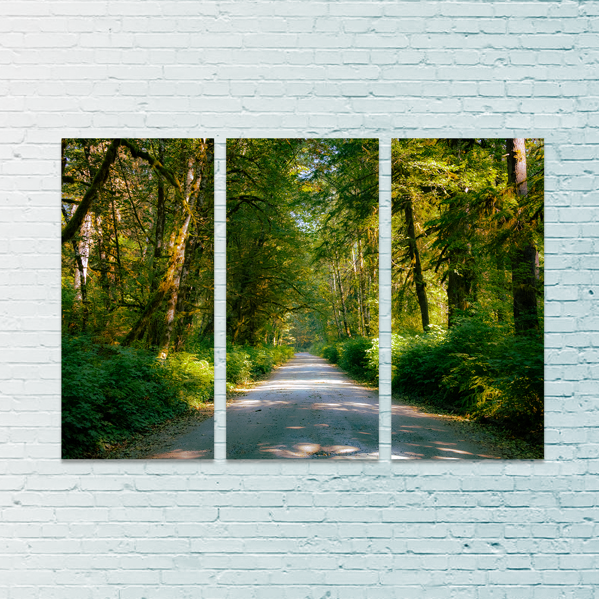 Rainforest Road Wall Art