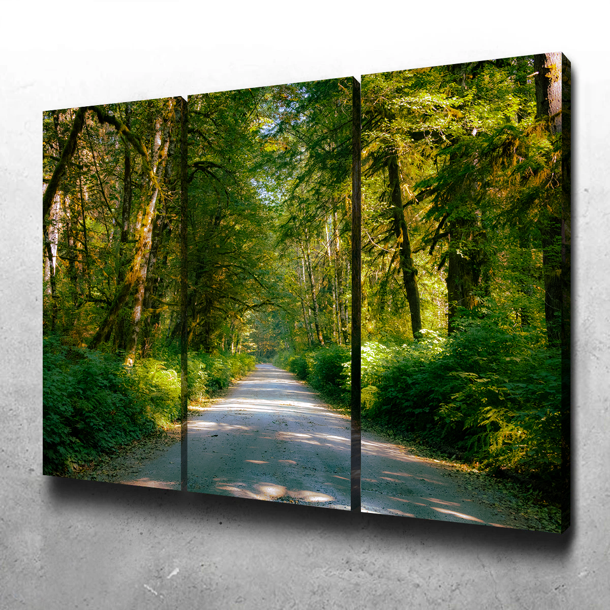 Rainforest Road Wall Art