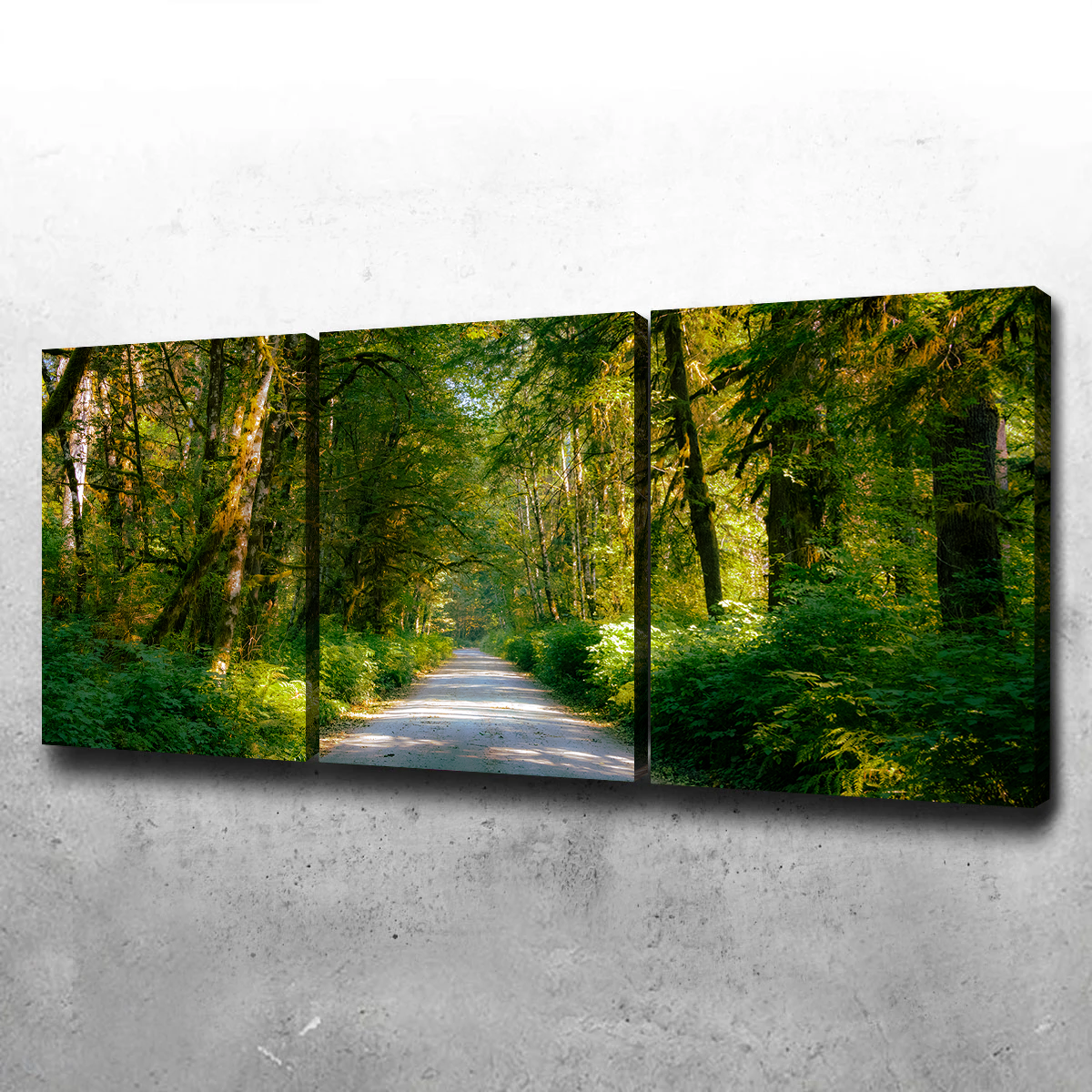 Rainforest Road Wall Art