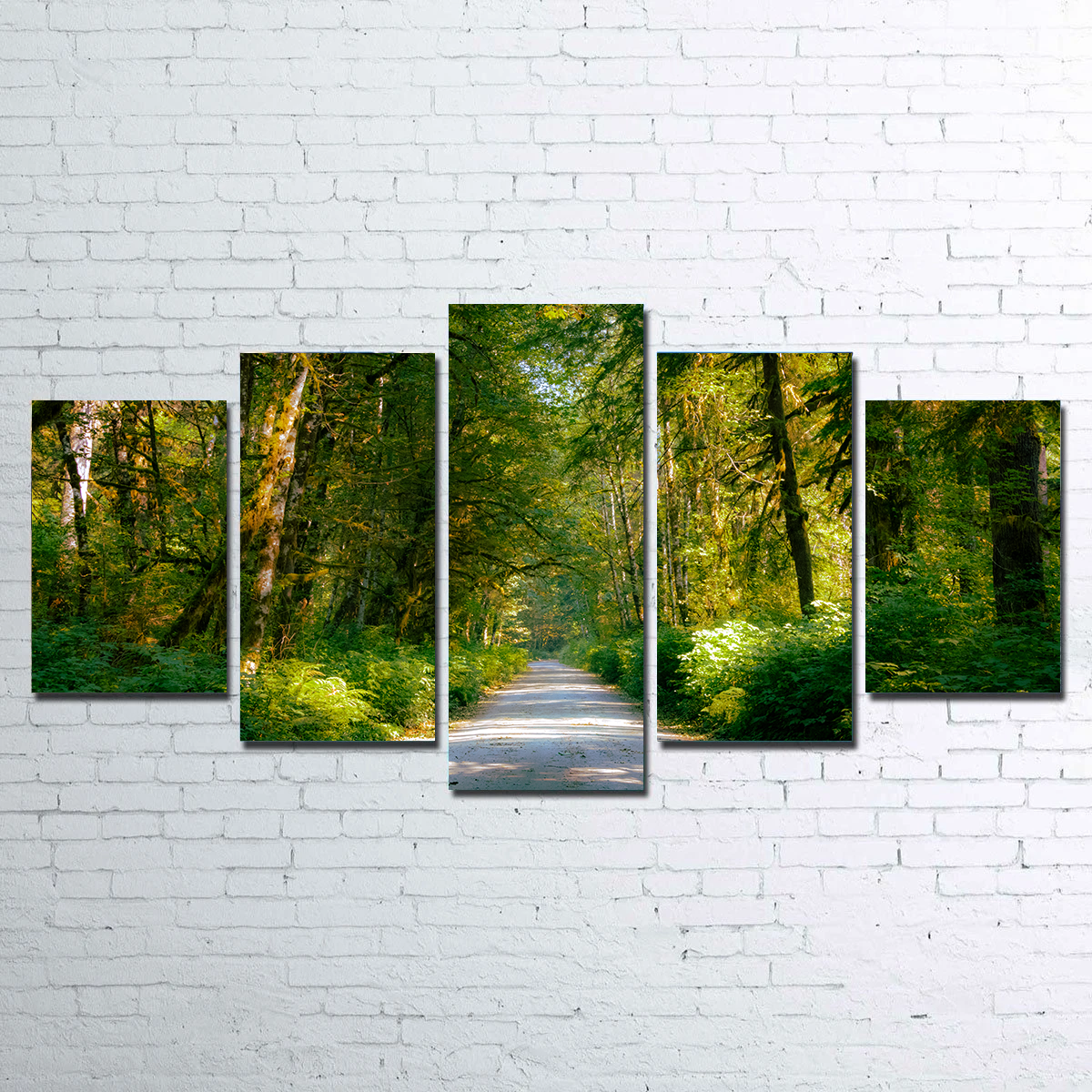 Rainforest Road Wall Art