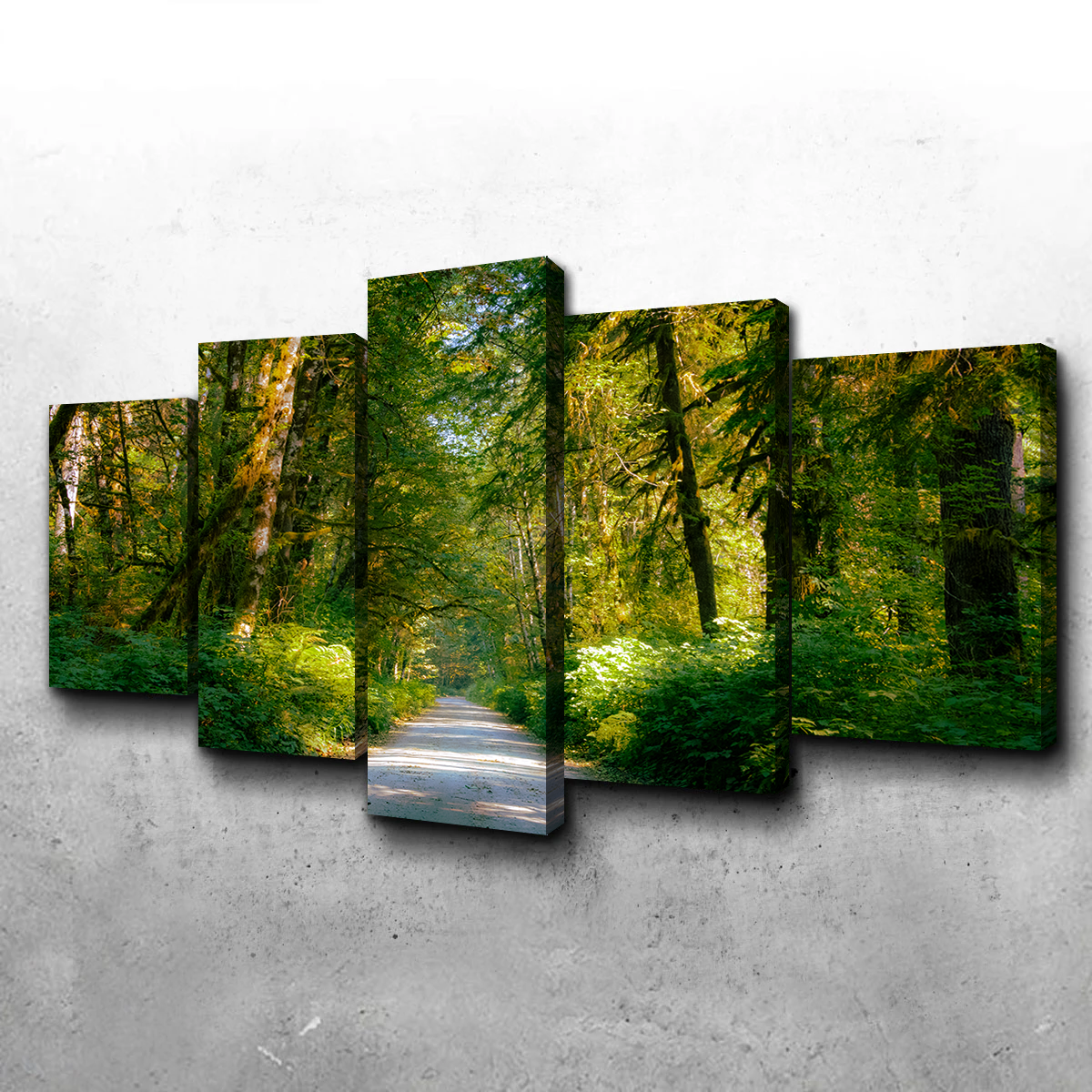 Rainforest Road Wall Art