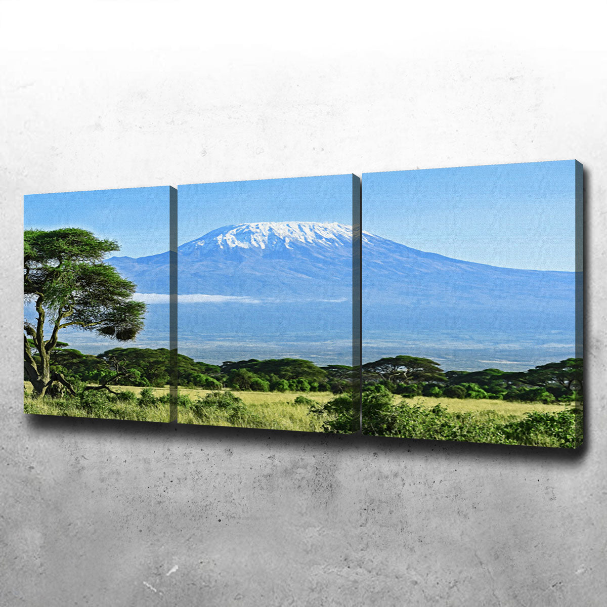 Mount Kilimanjaro Canvas Set