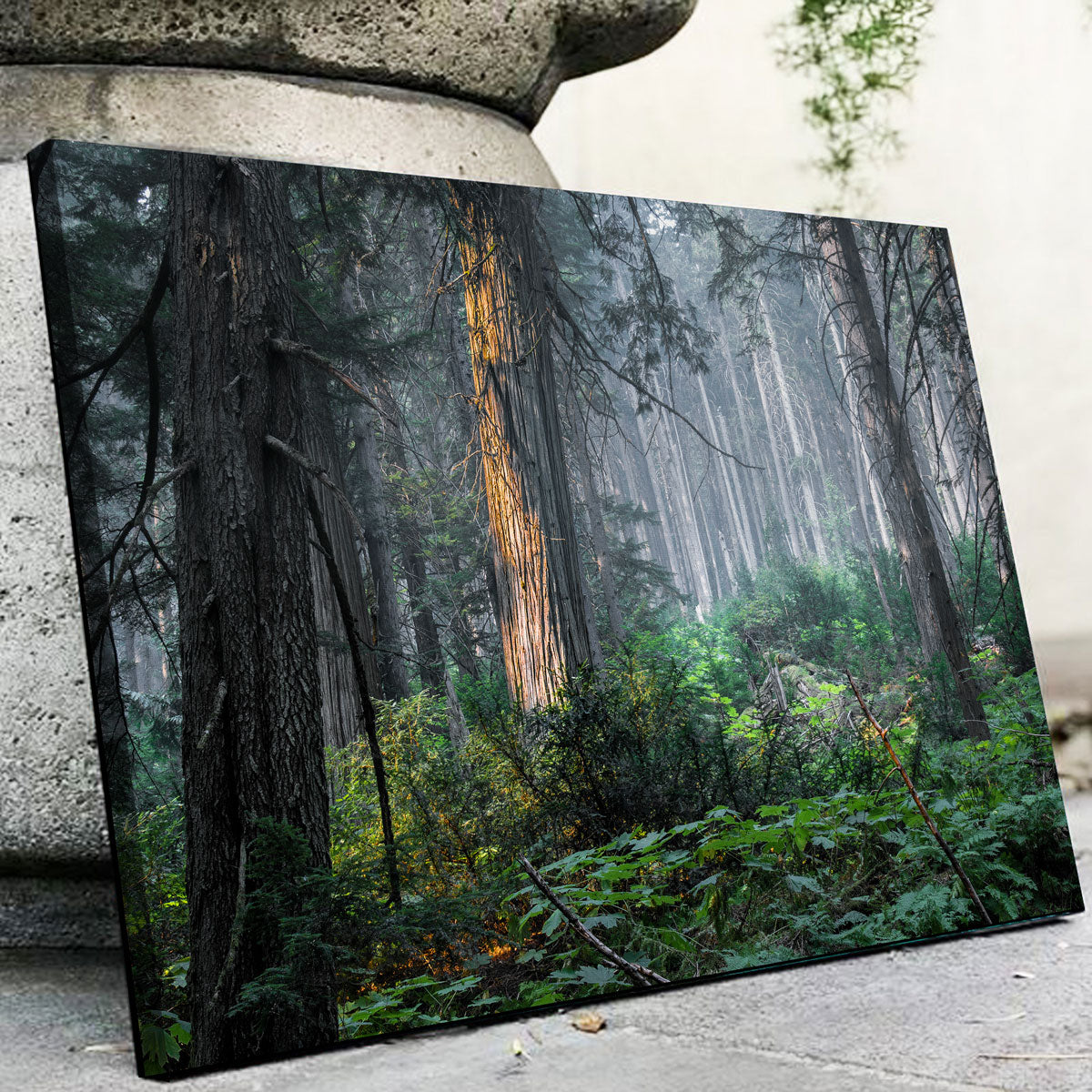 Revelstoke Wall Art