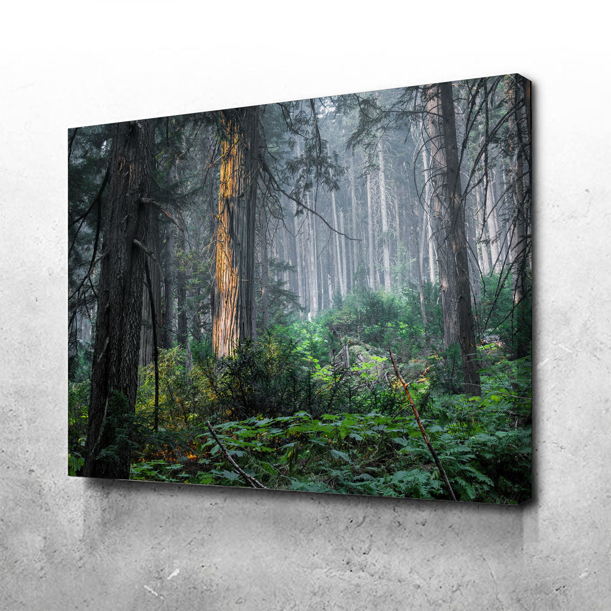 Revelstoke Wall Art