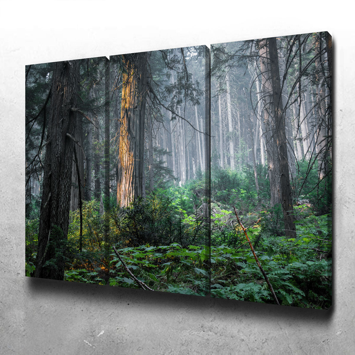 Revelstoke Wall Art