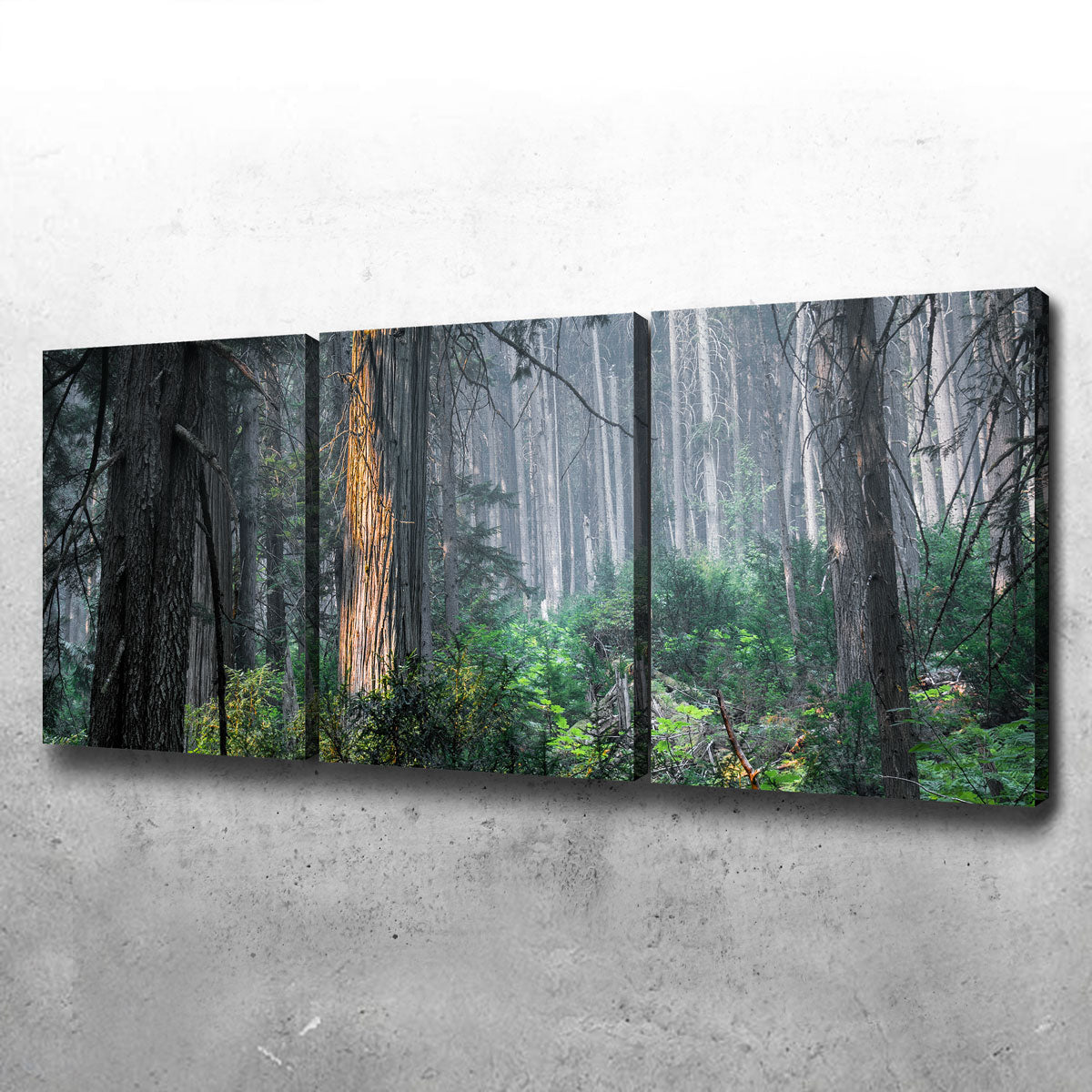 Revelstoke Wall Art
