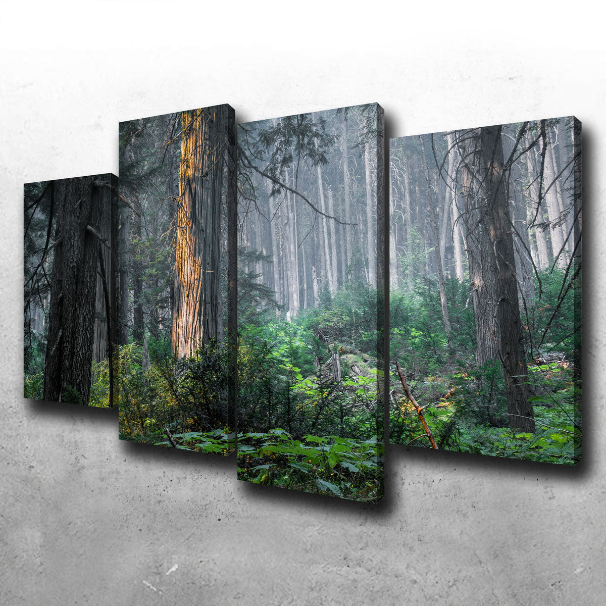 Revelstoke Wall Art