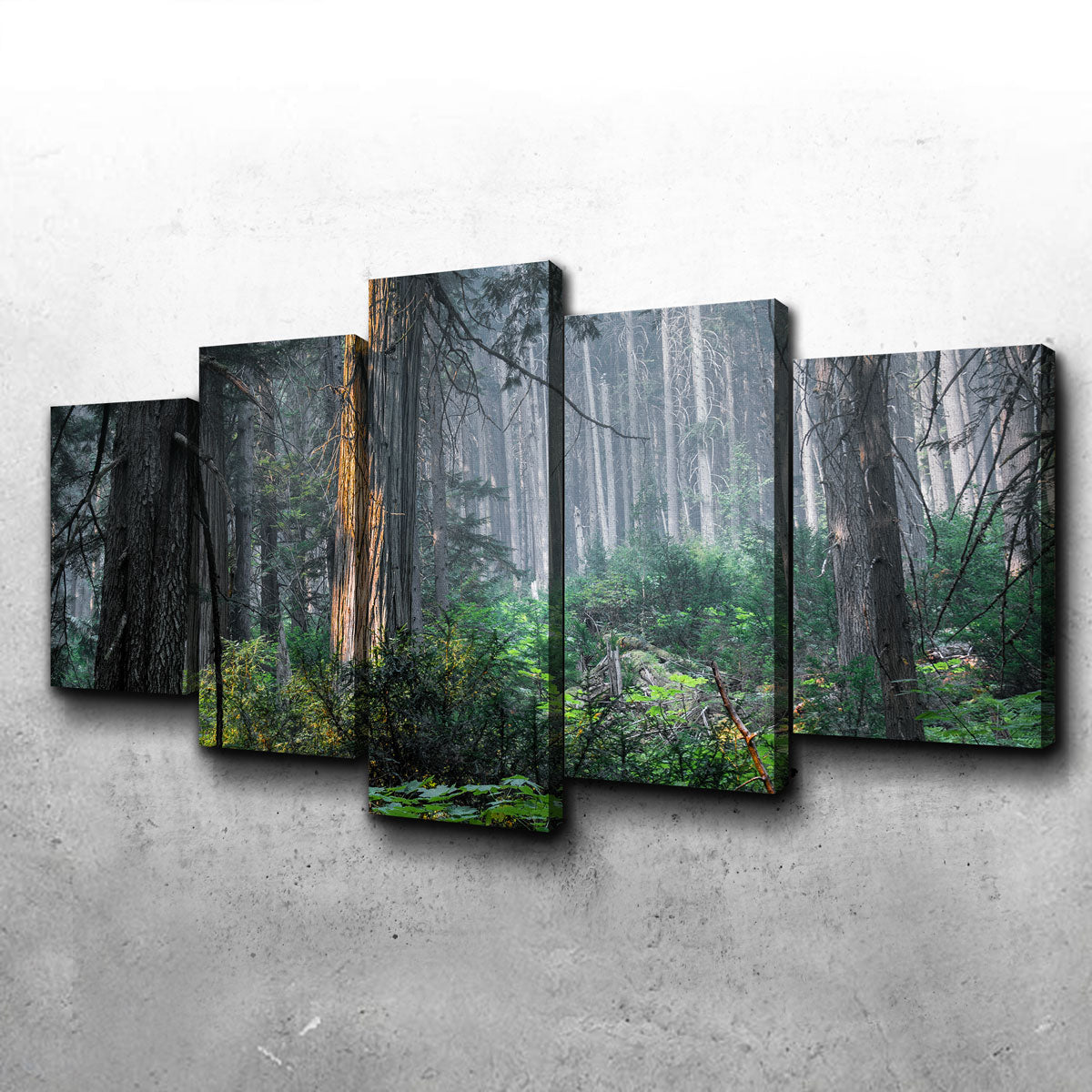 Revelstoke Wall Art