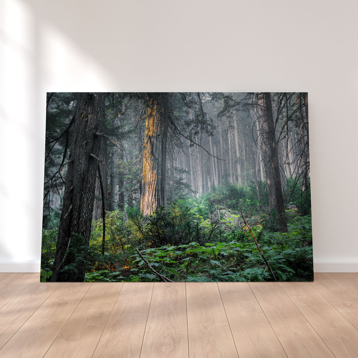Revelstoke Wall Art