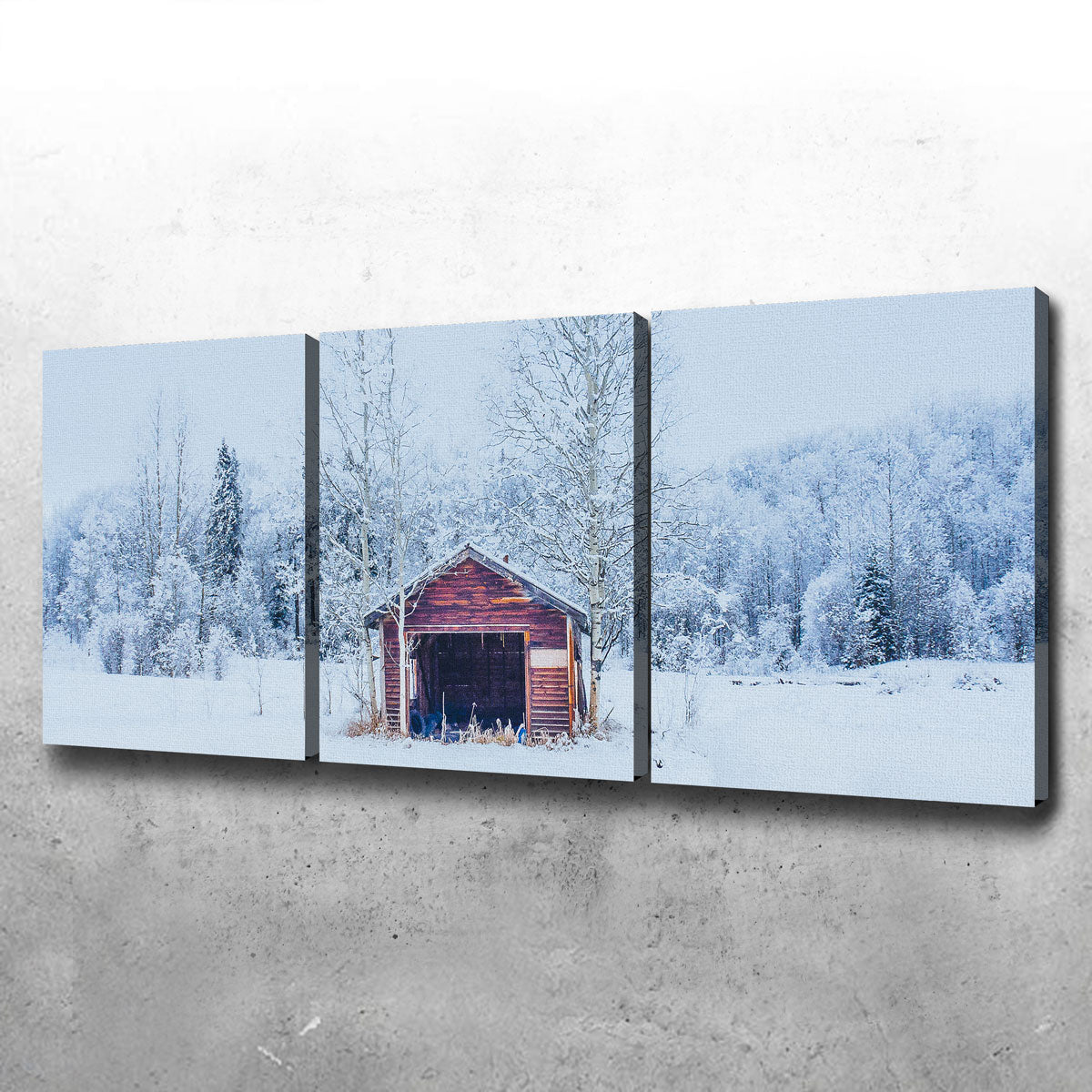 Abandoned Shed Wall Art