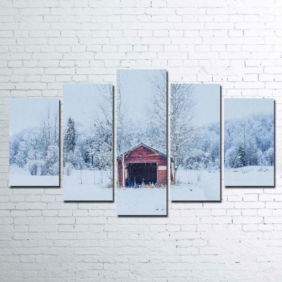 Abandoned Shed Wall Art