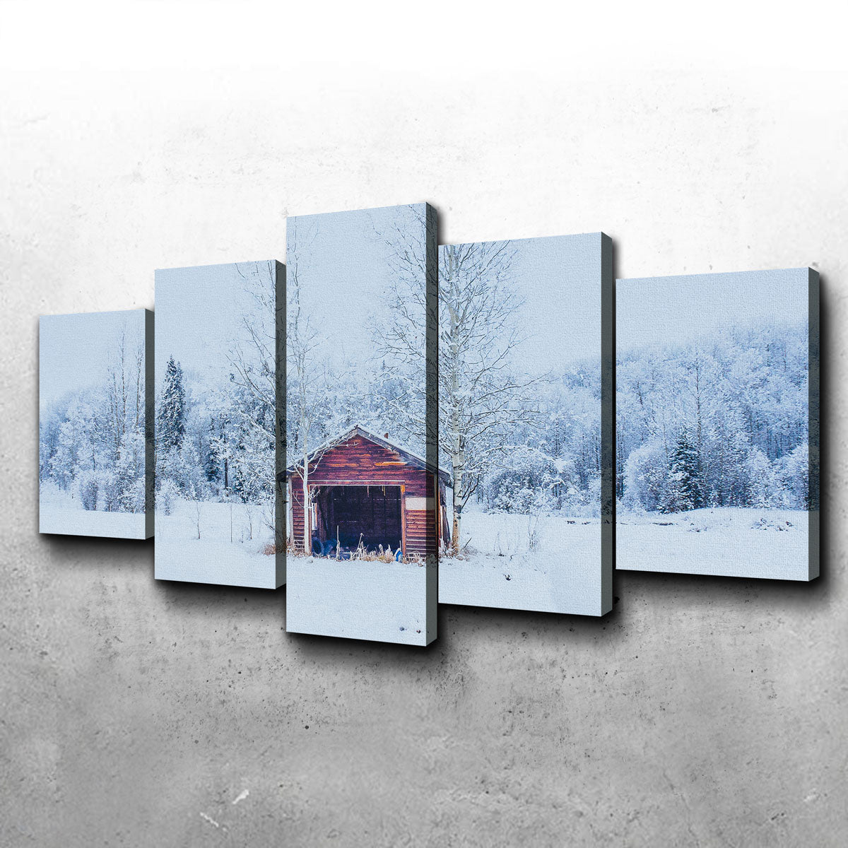 Abandoned Shed Wall Art