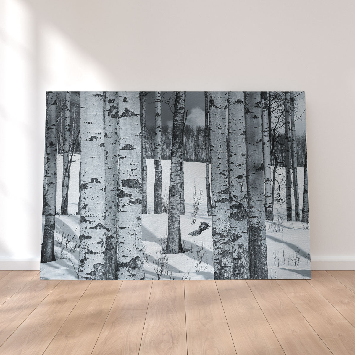 Round Lake Wall Art
