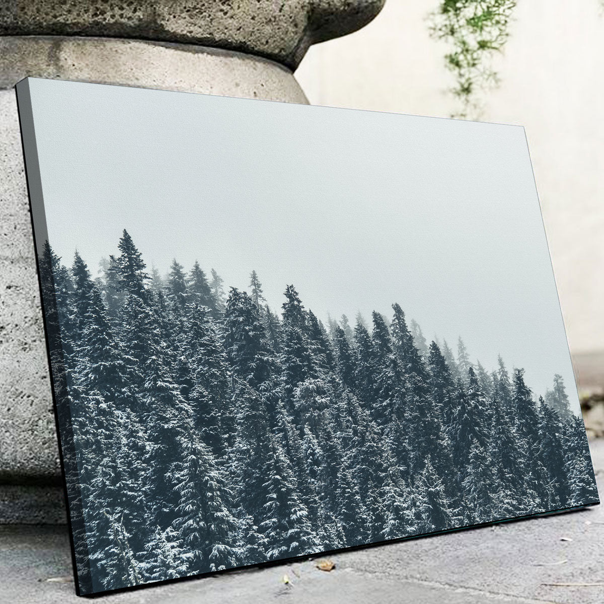 Fading Pines Wall Art