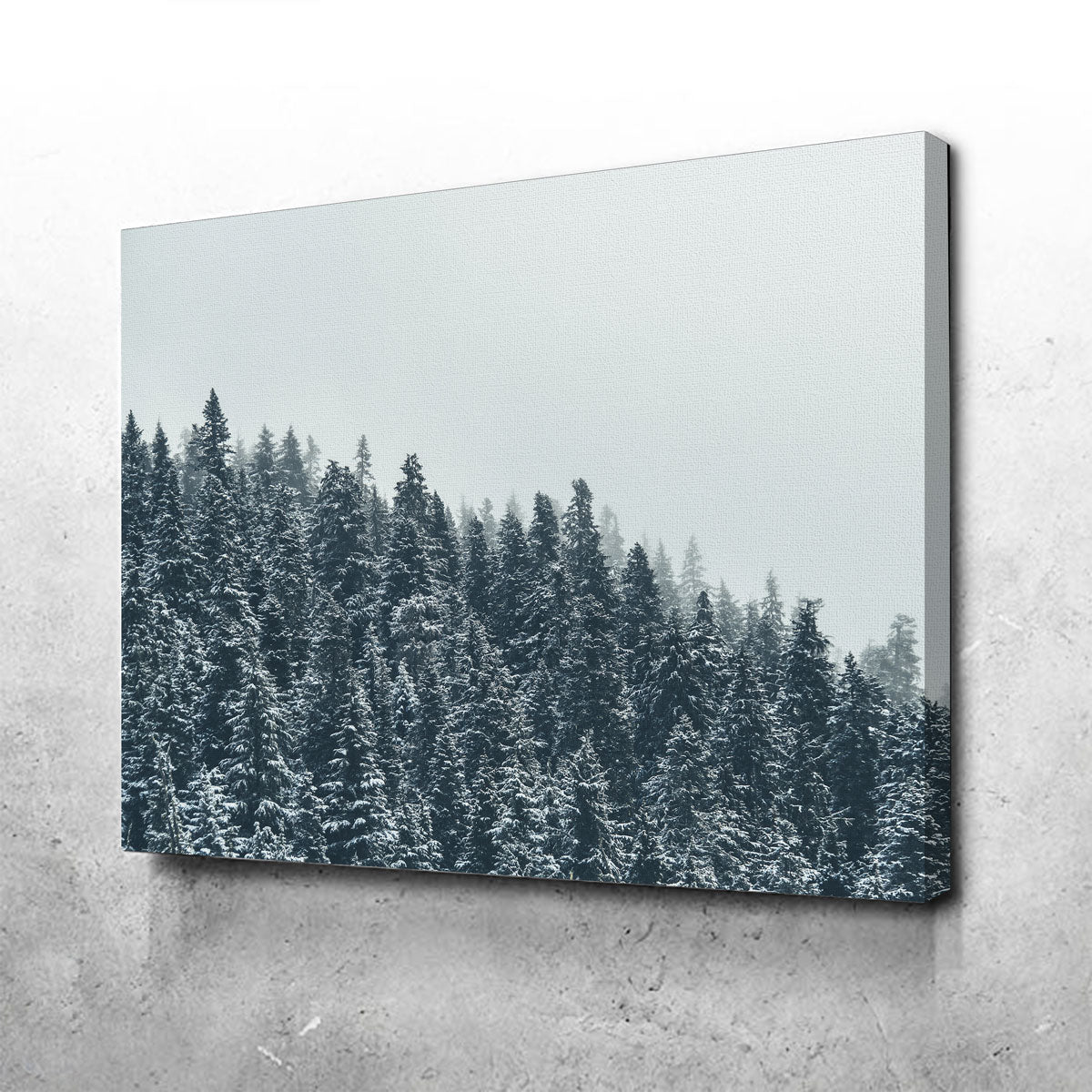 Fading Pines Wall Art