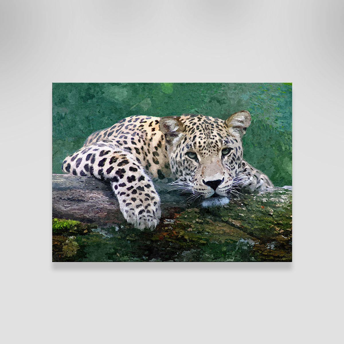 Snow Leopard Wall Art