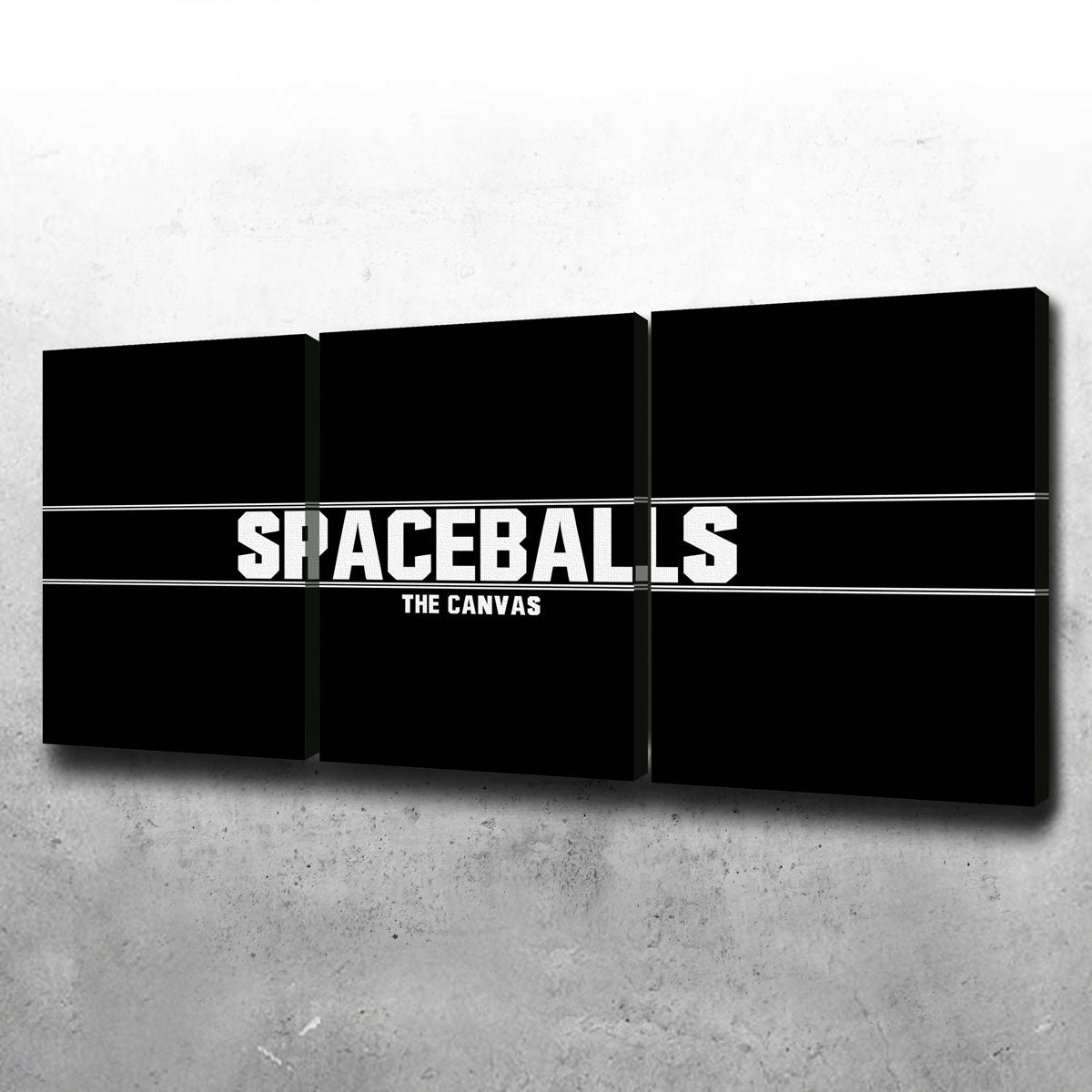 Spaceballs The Canvas Set