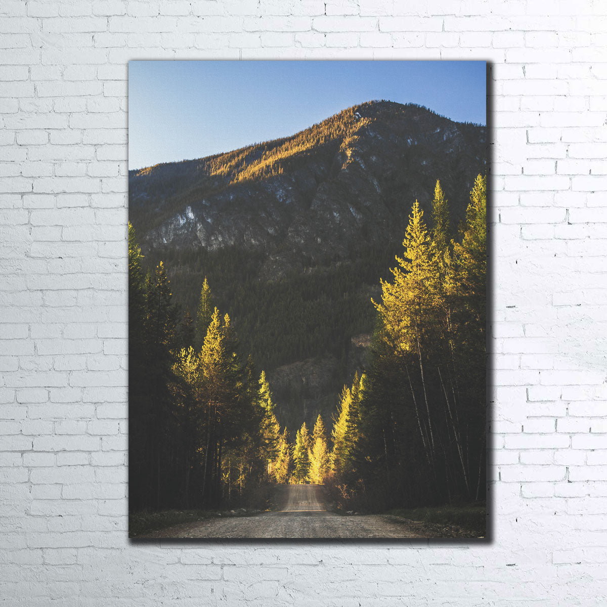 Dirt and Sun Wall Art