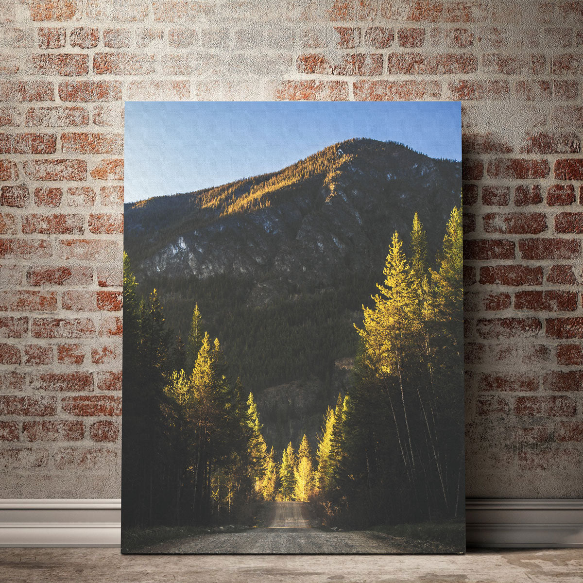 Dirt and Sun Wall Art