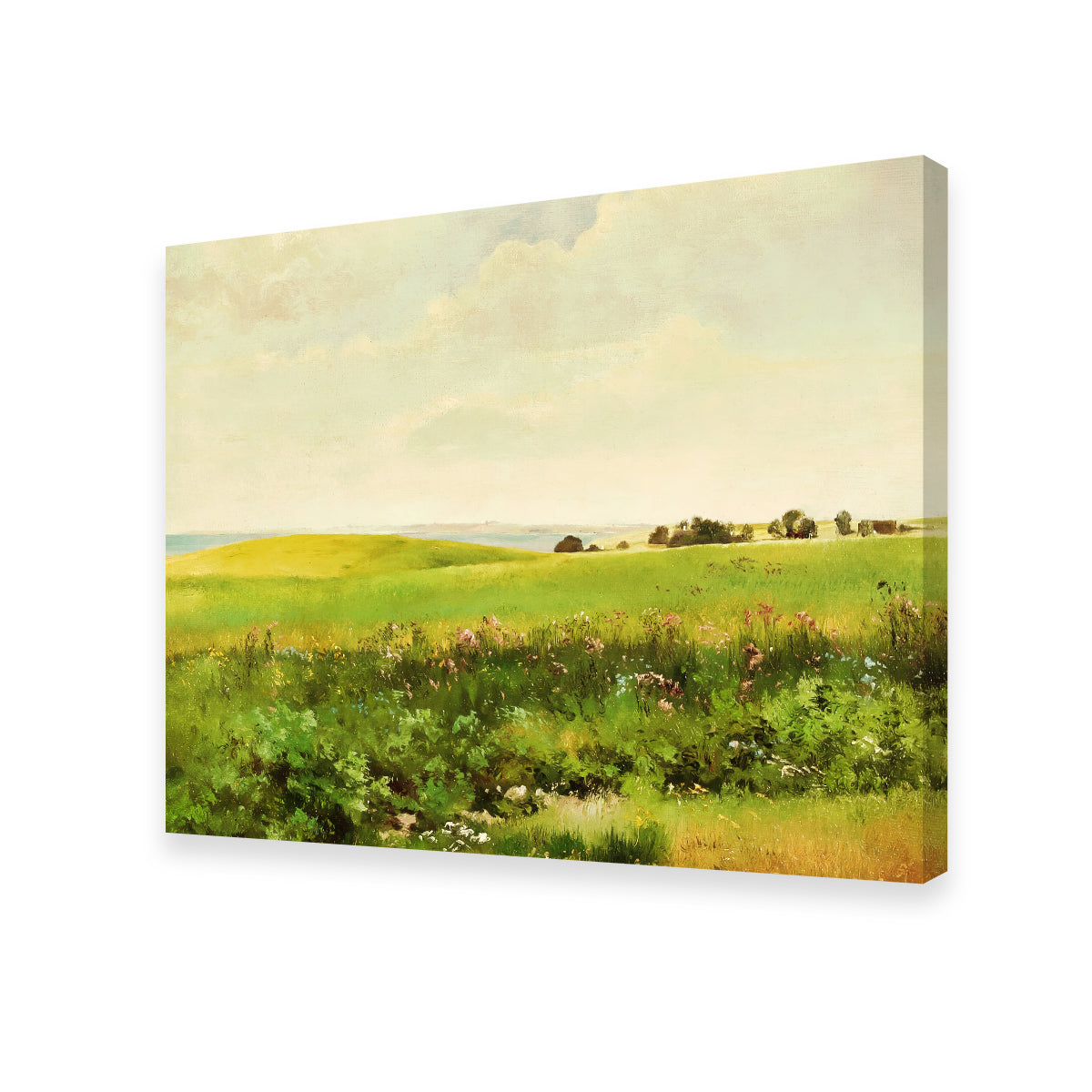 Summer Lands Wall Art