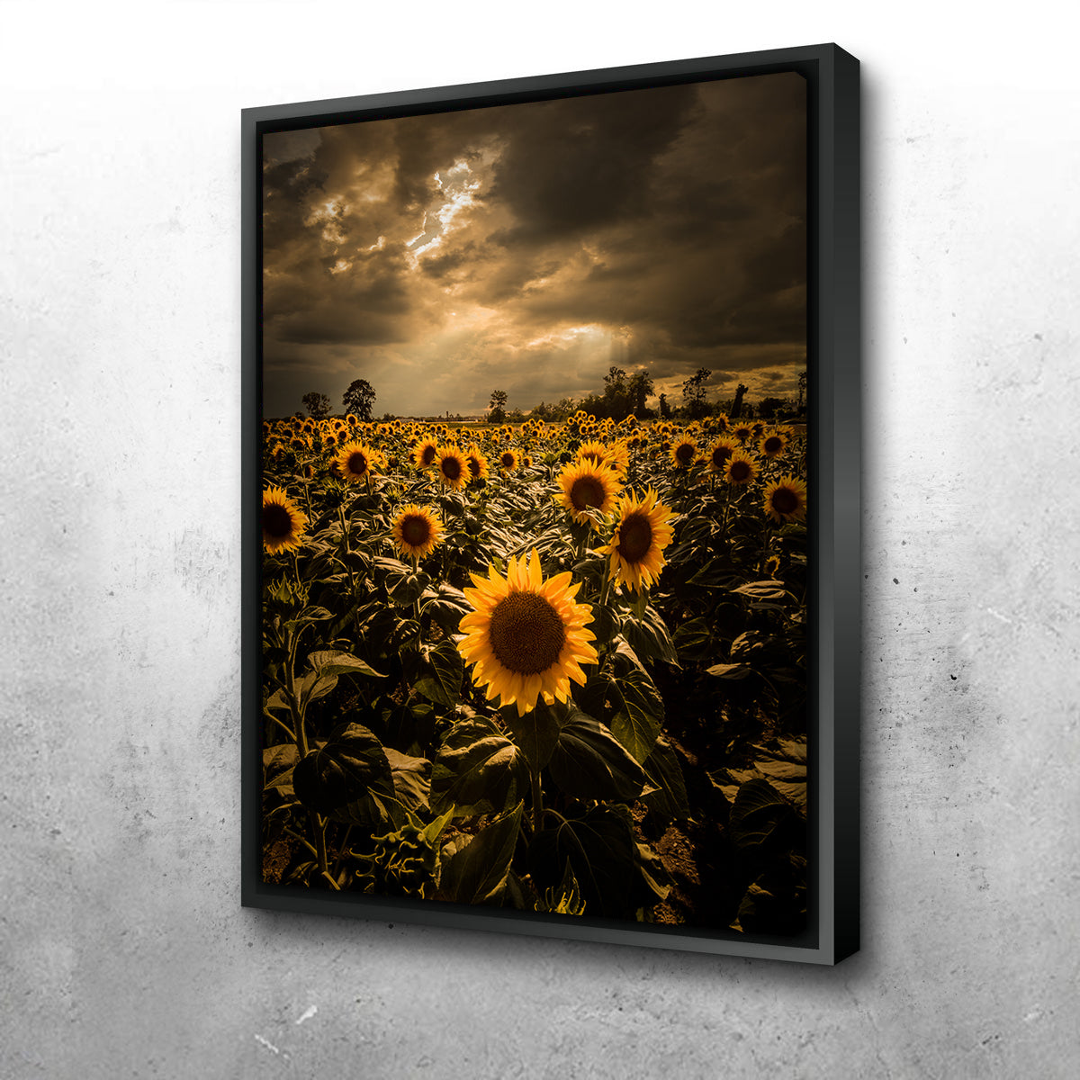 Overcast Sunflowers Wall Art