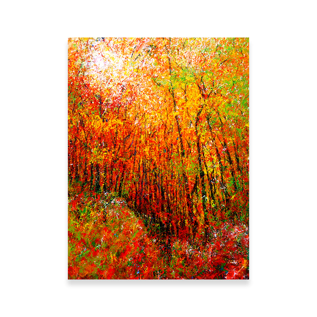 Sunlit Wall Art