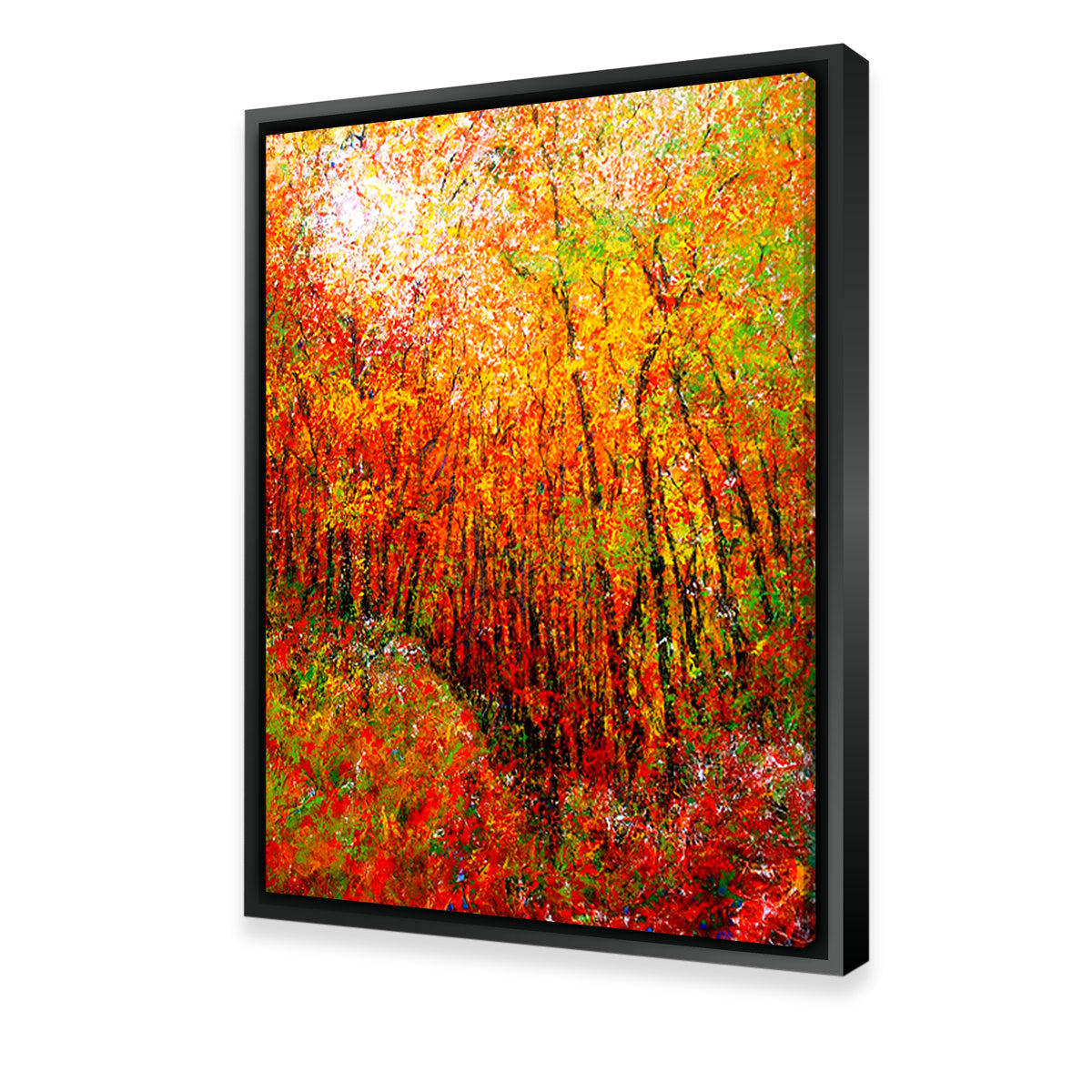 Sunlit Wall Art
