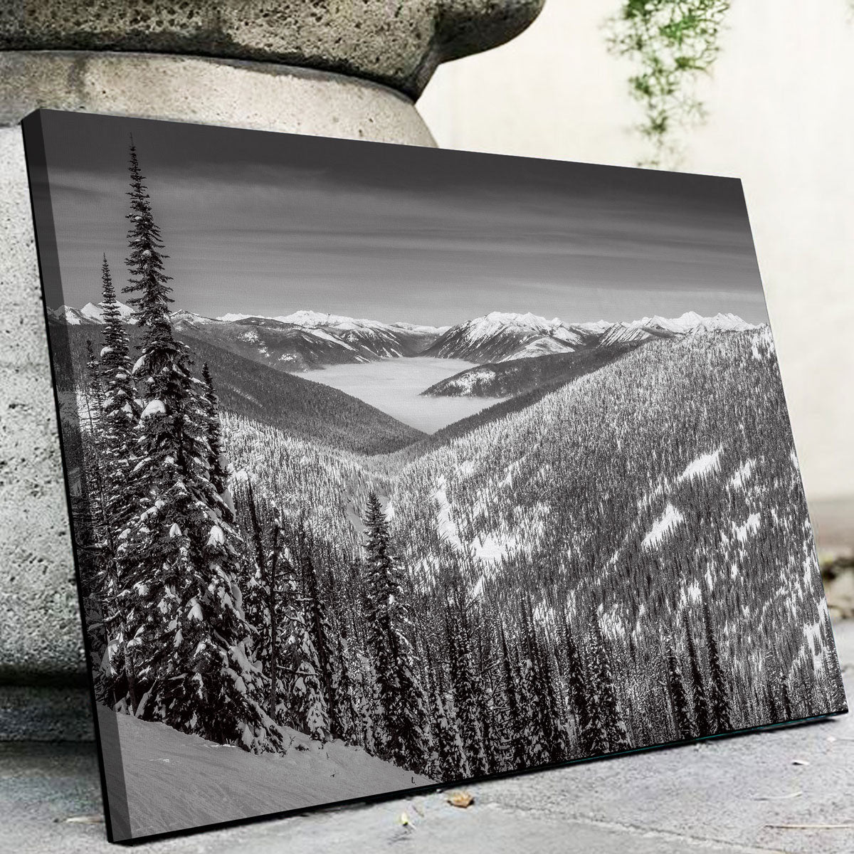 Whitewater Inversion Wall Art