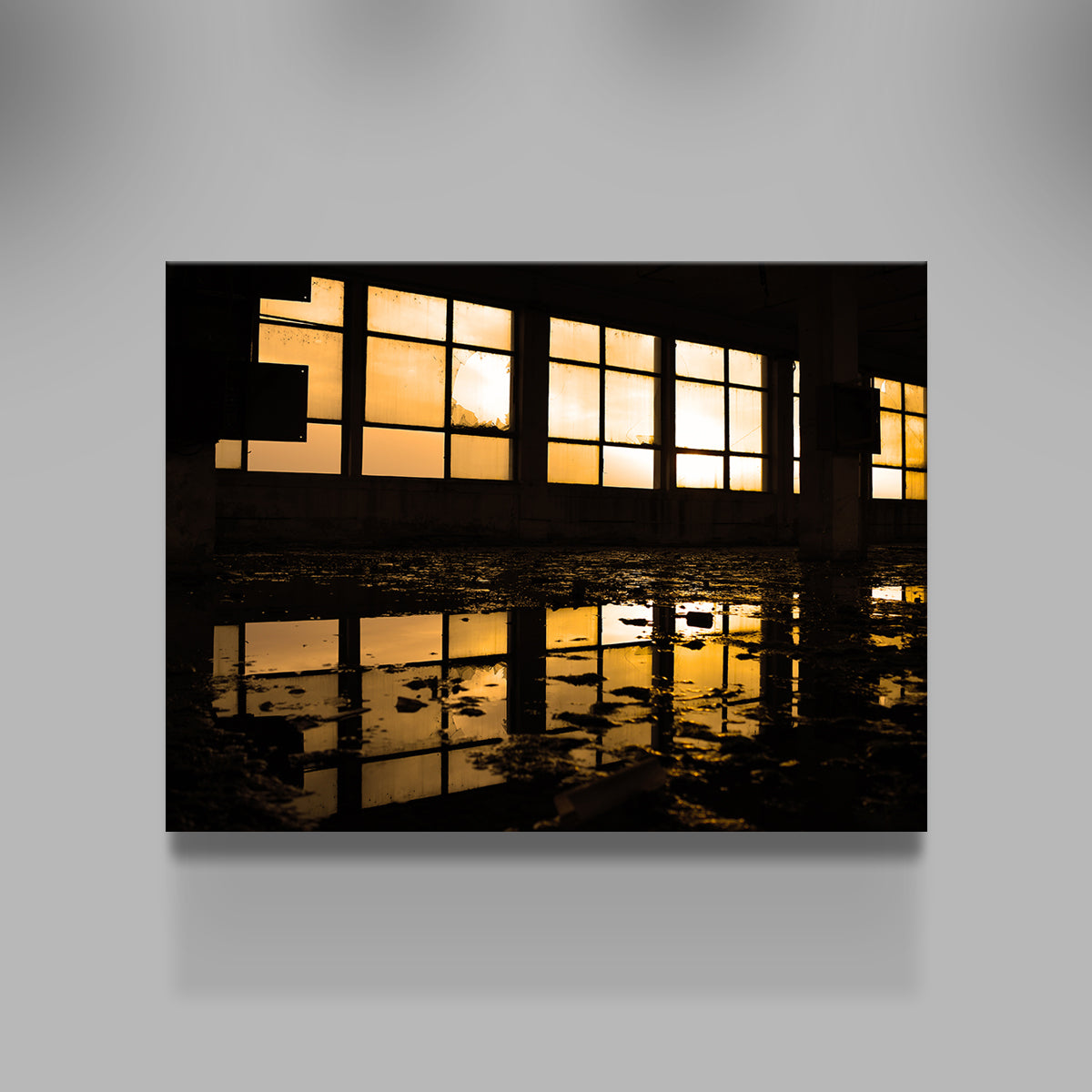Windows Wall Art