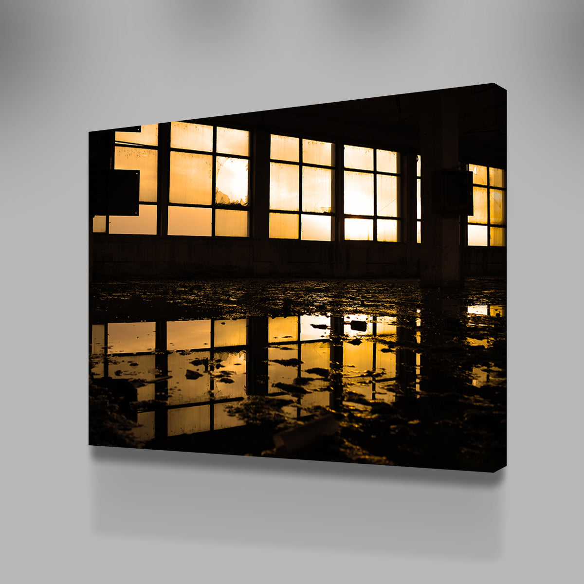 Windows Wall Art