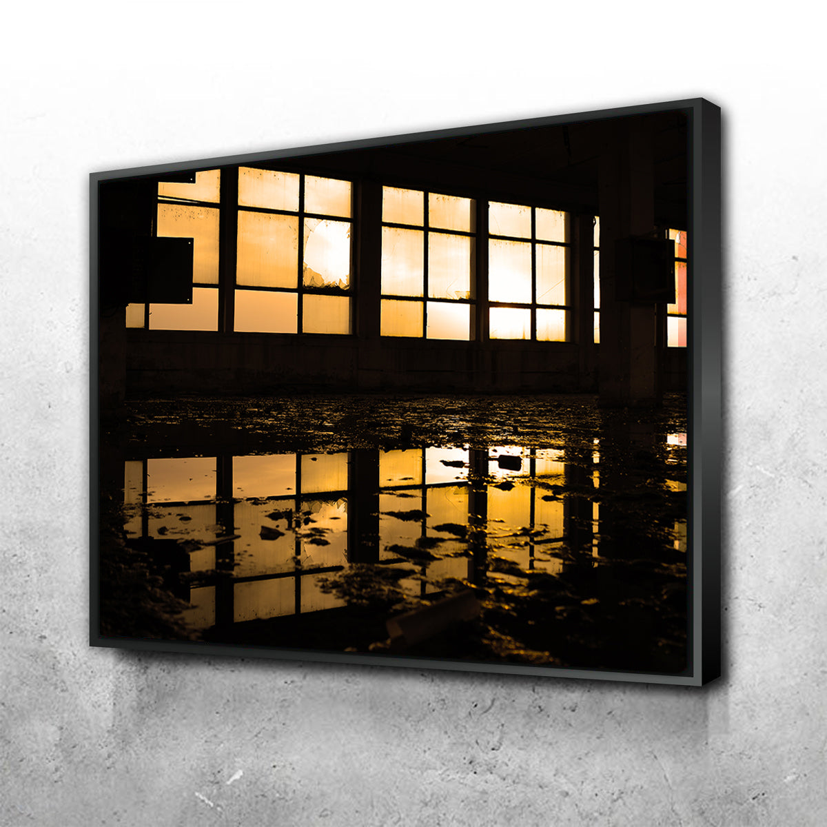 Windows Wall Art