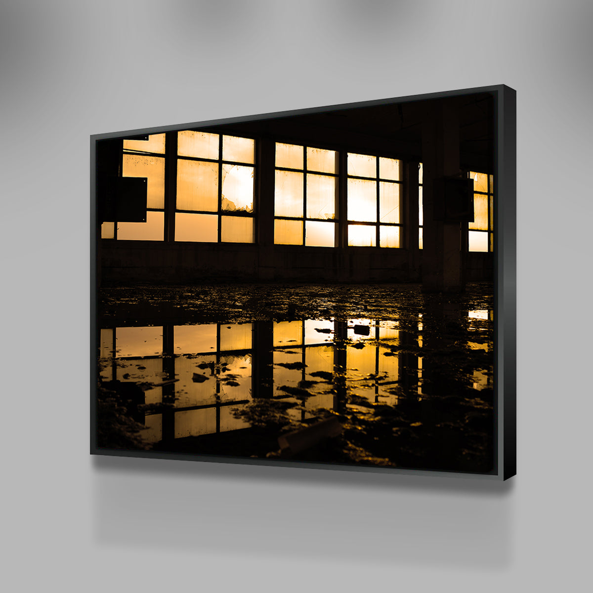 Windows Wall Art