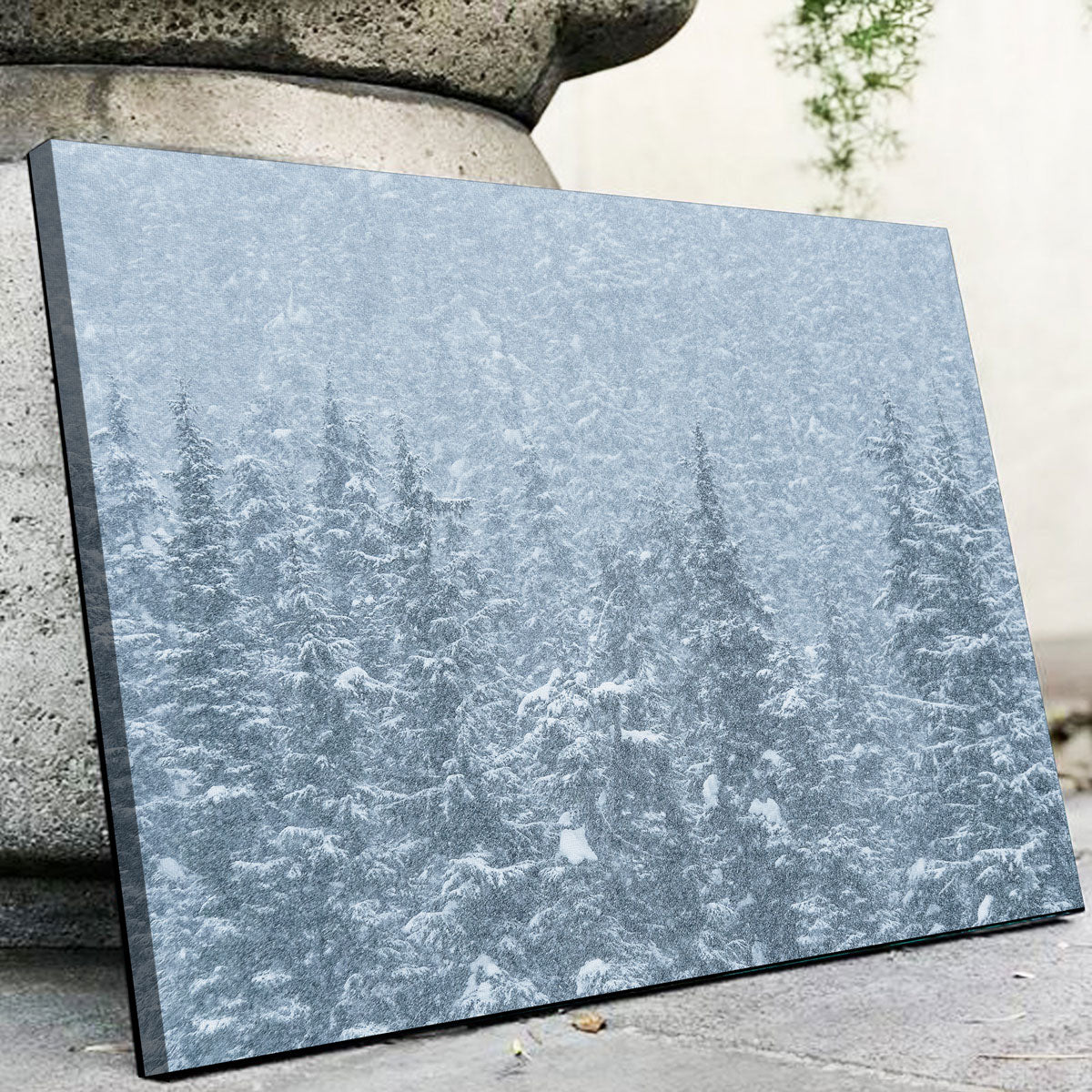 Winter Shames Wall Art
