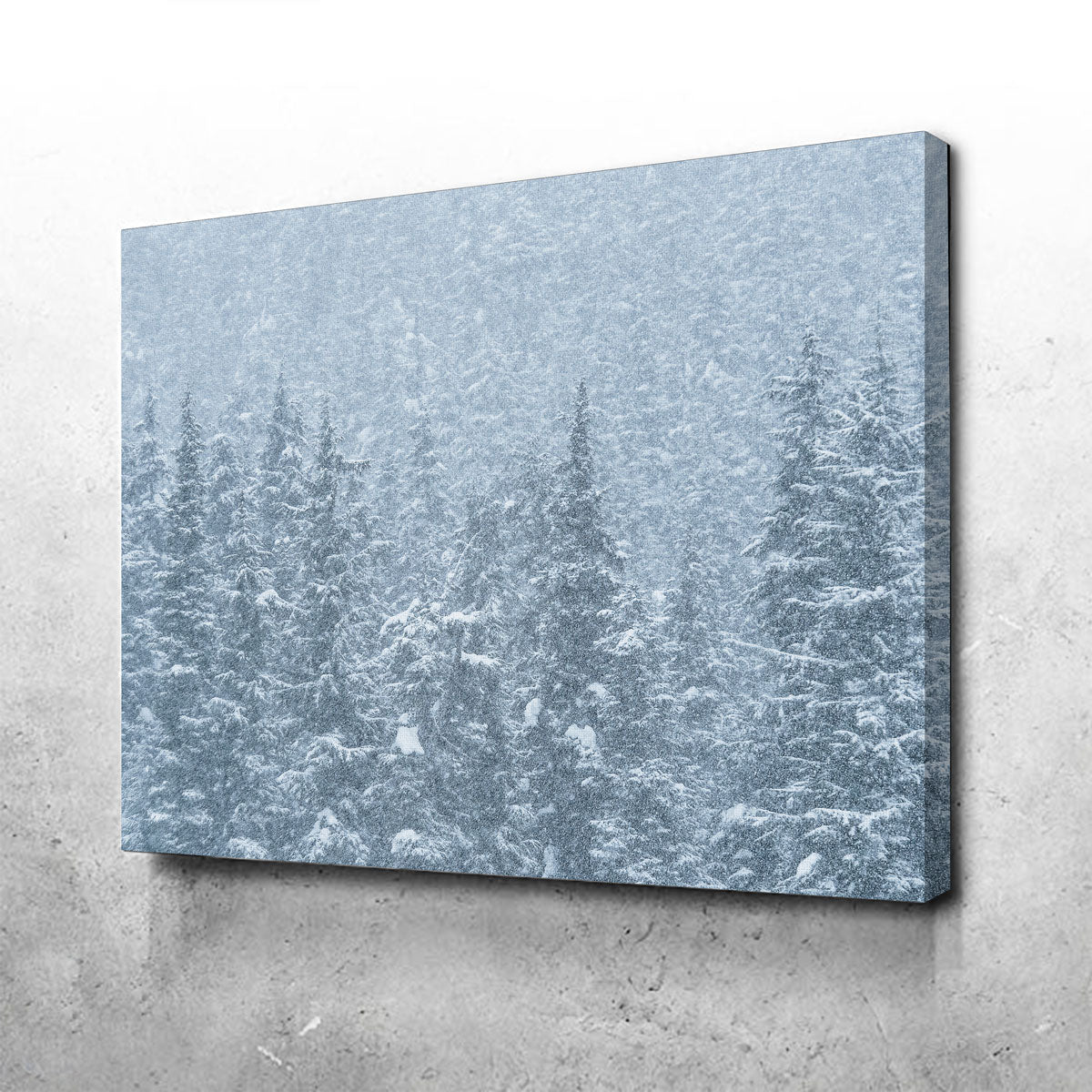 Winter Shames Wall Art