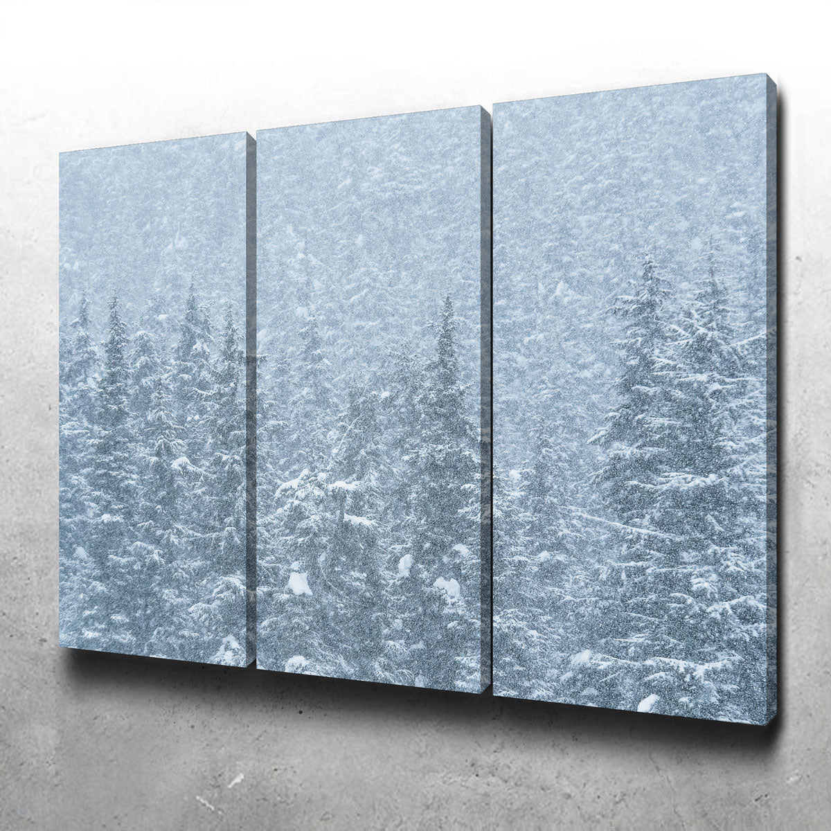 Winter Shames Wall Art
