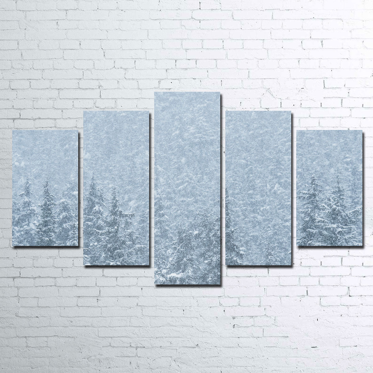 Winter Shames Wall Art