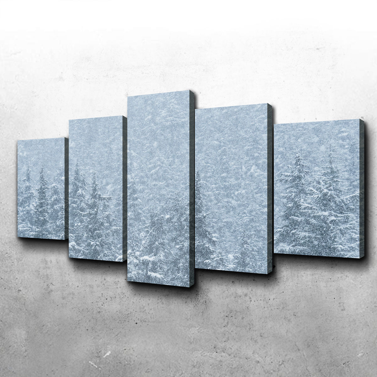 Winter Shames Wall Art