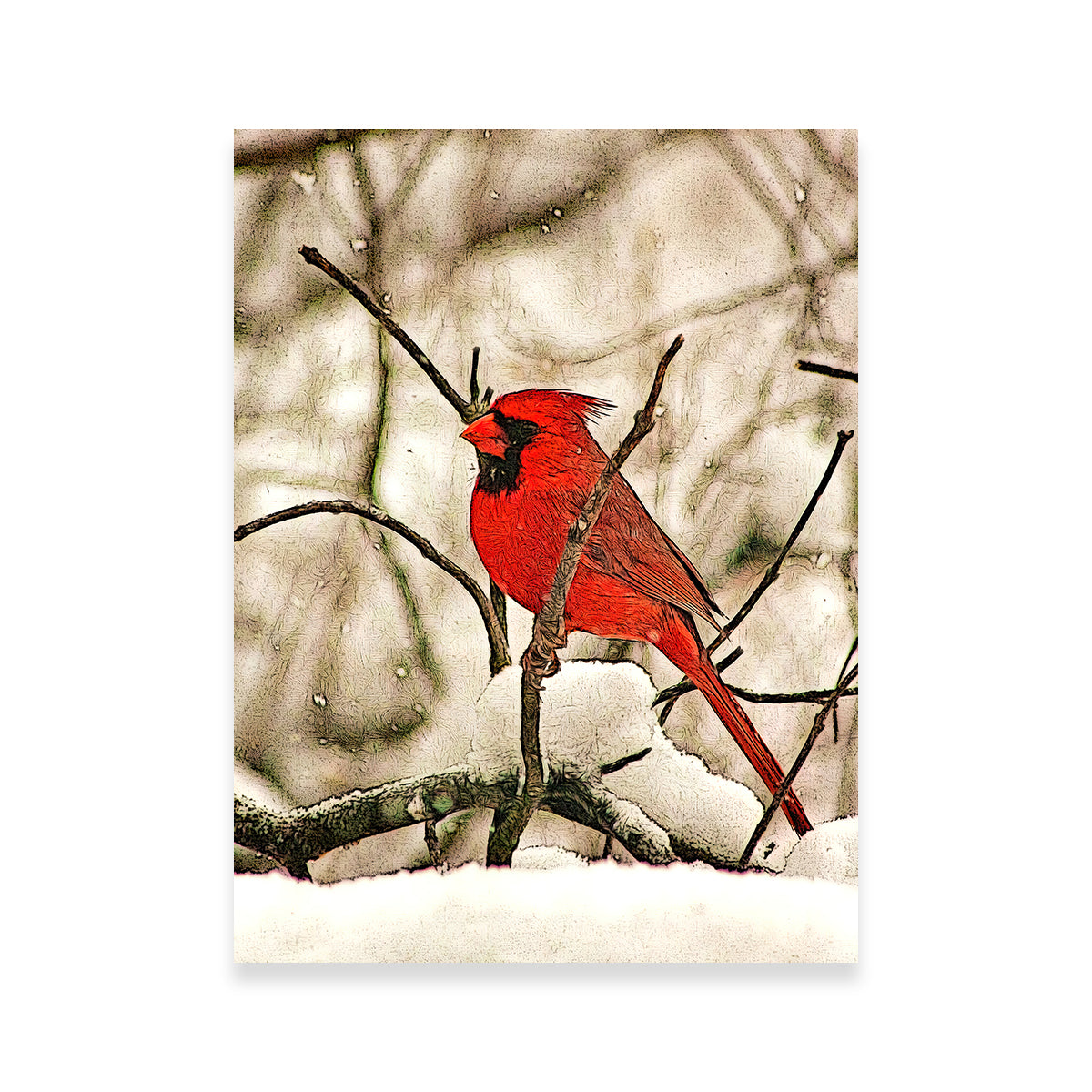 Winter’s Perch Wall Art